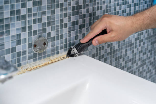 Best Mold Removal Near Me  in Cohoe, AK
